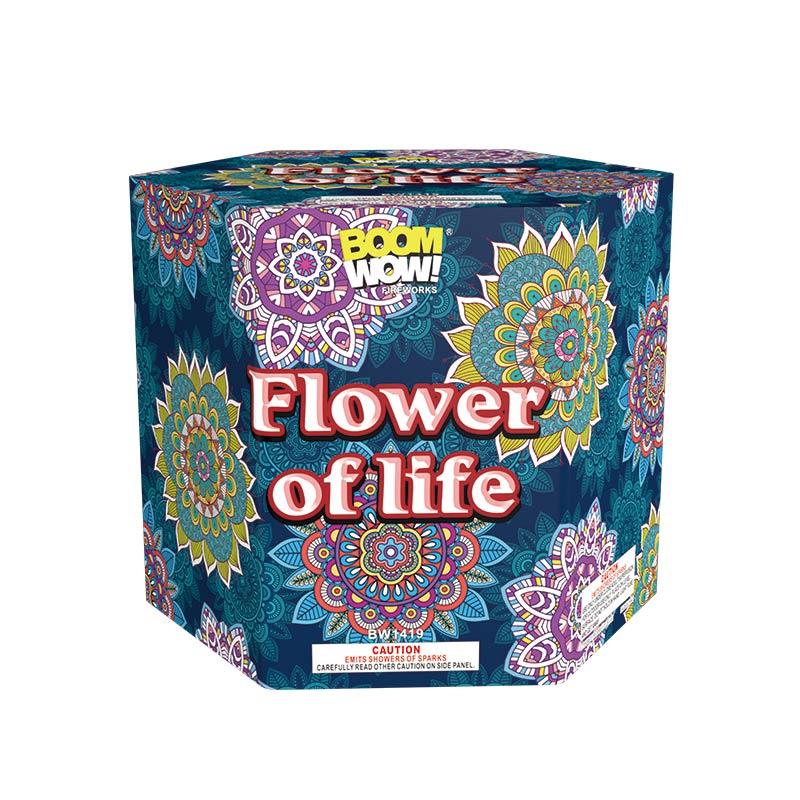 BW1419 - Flower Of Life Fountain