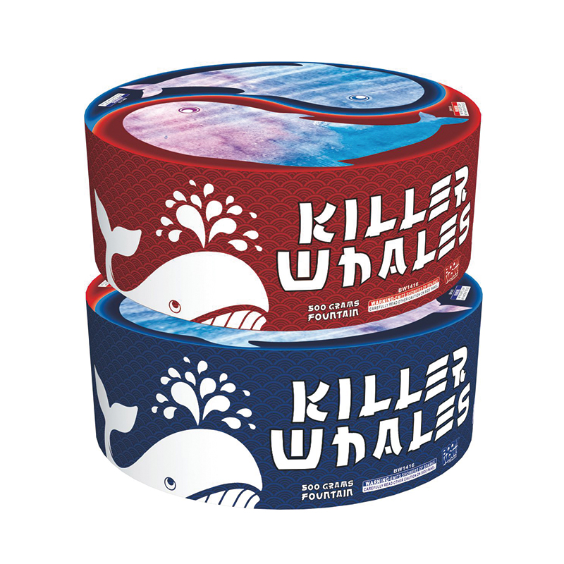 BW1416 - Killer Whales
