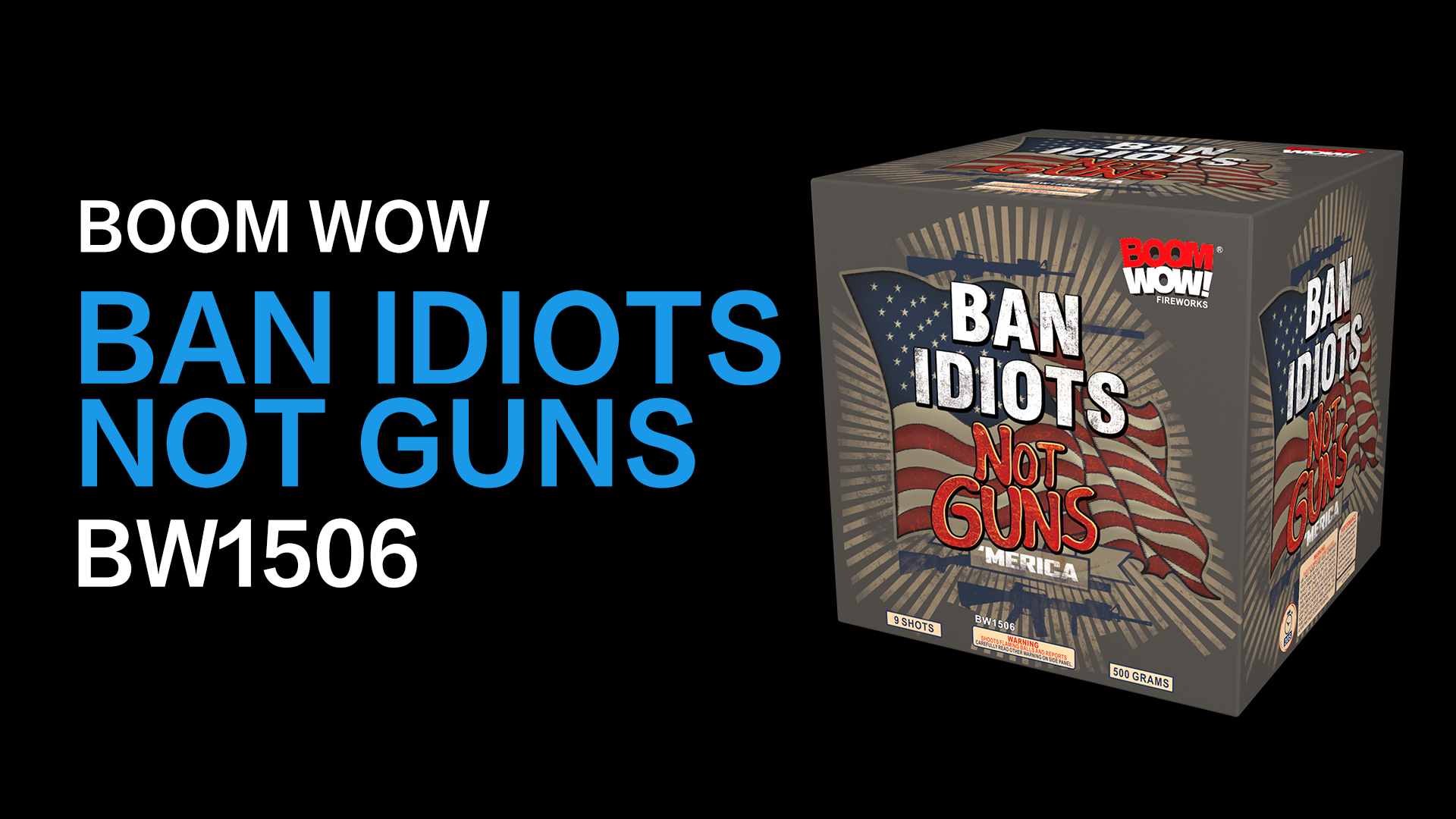 BAN IDIOTS NOT GUNS