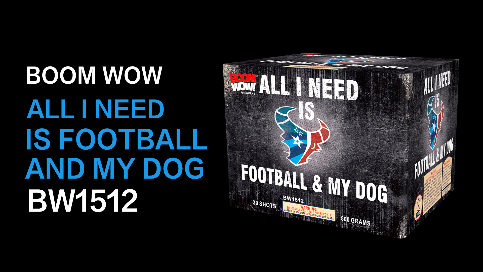 ALL I NEED IS FOOTBALL AND MY DOG