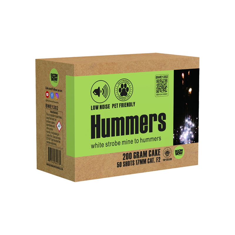 BWE1202 - HUMMERS